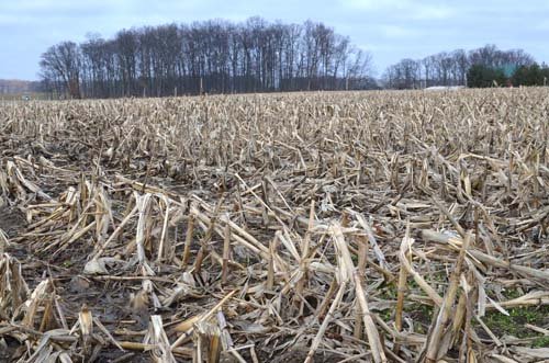 Property photo 65 - 98+/- Acres Offered in 6 Tracts or Combinations, Noble County, Indiana Farm
